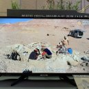 지질자원연구원 지질박물관 이미지