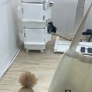 몽슈아 이미지