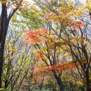 고지농장 이미지