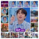 와아이라 이미지