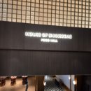 신세계의안 | 신세계강남 타치바나 오픈런 니보시라멘 솔직후기 (feat.콘부)