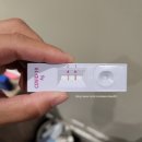 [영국] 25. 런던 맛집, 피닉스 호텔, 더 달링턴 하이드 파크, 코로나 후기