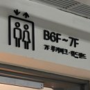 애견백화점 동탄점 이미지