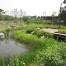 궁동생태공원 이미지