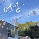 꽃나래플라워까페061 | [wedding.1] 르한스 웨딩 27년 계약 후기 [견적있음]