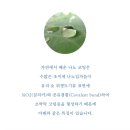 나노케어(주) 이미지