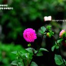 으뜸의료기 이미지