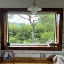 우아한 게으름 이미지