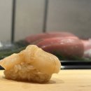 [일본/나고야] Sushi Tonbo(스시톤보) - 나고야 현지 직장인들의 갓성비 스시집