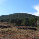 세화1리 이미지