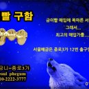 치과기공소 우주최강 이미지