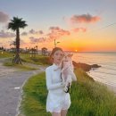 해바라기 애견 | [제주도 여행코스] 서우봉 둘레길 일몰 해바라기 애견동반 산책