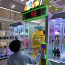 뽑기 집나간인형 이미지