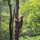 다드림한식부페 | 하나투어 장가계 패키지 날씨 7월 여행 가격 노옵션노쇼핑 솔직후기