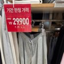 [내돈내산] 유니클로 스웨트와이드팬츠 S사이즈/M사이즈 실착 후기 (158cm）