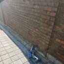 자미당오야점