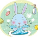 메디스타 이미지