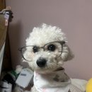 신촌로73번길 이미지