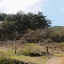 반값공인중개사사무소 이미지