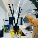 골프로그 스튜디오 이미지