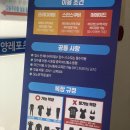 아미고스 | [아미고스 다이브] 부산 프리다이빙 원데이 클래스 체험 후기! 나는 전생에 물고기였나 봐🐳