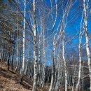 부신농장 이미지