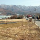 진벌2리 이미지