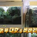 예쁠란따 가드닝