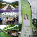 행정 | 5월 경남축제 고민이라면? 하동 야생차 문화축제 실시 후기