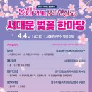 봄빛조명 이미지