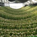 참 좋은 농장 이미지