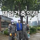 제일건축인력 이미지