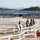 함안 승마장 이미지