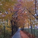 창동교 화장실 이미지