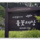 세쌍둥이네풀꽃세상 이미지
