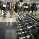 아라 휘트니스 이미지