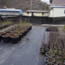 푸른꿈농장 이미지