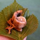 정말조은마켓 이미지