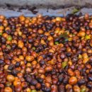 커피톡톡 이미지