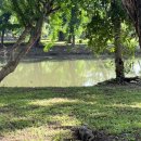 JC농장 | 부모님과 태국여행_방콕,파타야(비오비투어,내돈내산)