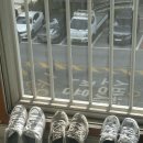 샤워하는운동화 이미지