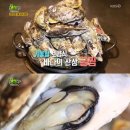 싱싱무한리필 이미지