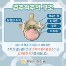 화원365한의원 이미지