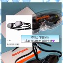스윔비젼