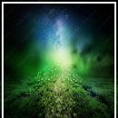 성남대로779번길 이미지