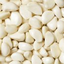 제이앤팜 이미지