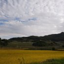 달밭농장 | 두둥 월전리 티비 나오는 날!