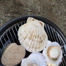 속초나드리 이미지