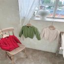 아젤리아 이미지