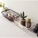 판다바구니 이미지